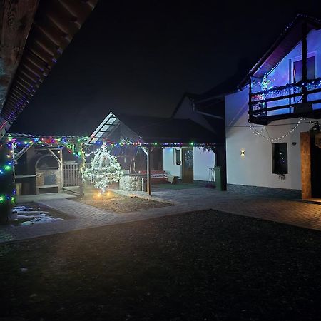 Вилла Casa Roxana Viseu de Mijloc Экстерьер фото